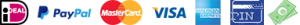 betaal icons pin cash